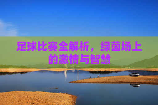 足球比赛全解析,绿茵场上的激情与智慧
