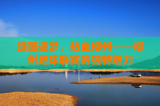 绿茵逐梦，热血柳州——柳州足球联赛的独特魅力
