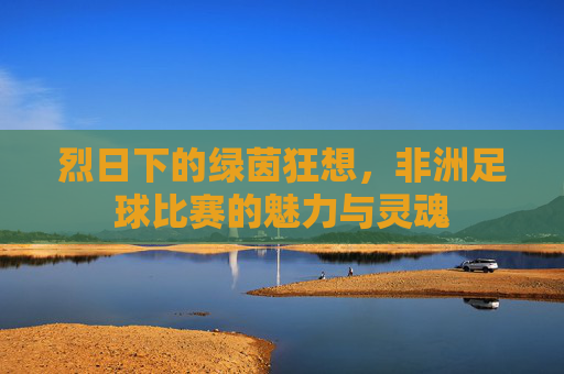 烈日下的绿茵狂想,非洲足球比赛的魅力与灵魂