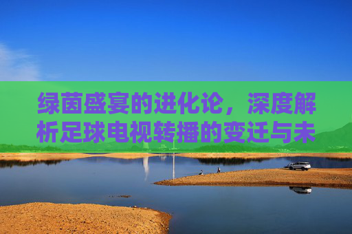 绿茵盛宴的进化论,深度解析足球电视转播的变迁与未来