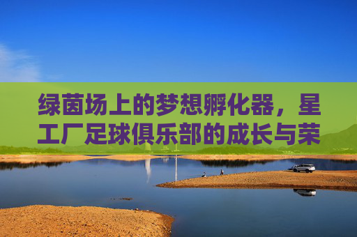 绿茵场上的梦想孵化器，星工厂足球俱乐部的成长与荣耀
