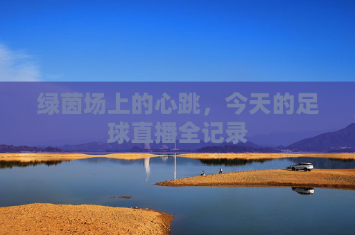 绿茵场上的心跳,今天的足球直播全记录