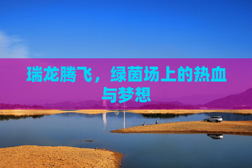 瑞龙腾飞,绿茵场上的热血与梦想
