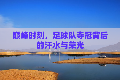 巅峰时刻,足球队夺冠背后的汗水与荣光