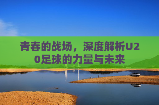 青春的战场,深度解析U20足球的力量与未来