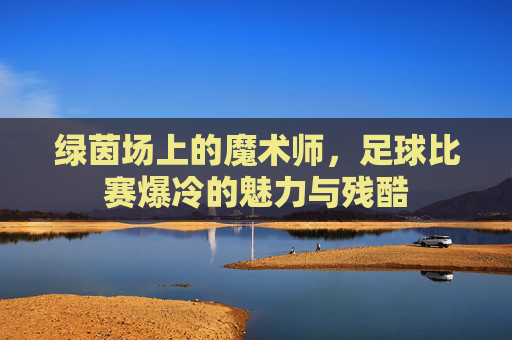 绿茵场上的魔术师,足球比赛爆冷的魅力与残酷