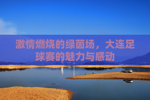 激情燃烧的绿茵场,大连足球赛的魅力与感动