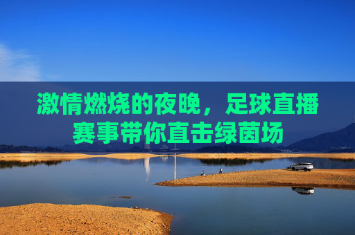 激情燃烧的夜晚,足球直播赛事带你直击绿茵场