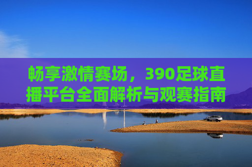 畅享激情赛场，390足球直播平台全面解析与观赛指南