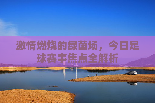 激情燃烧的绿茵场,今日足球赛事焦点全解析
