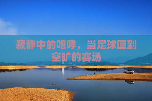 寂静中的咆哮,当足球回到空旷的赛场