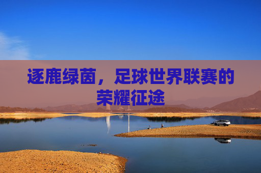 逐鹿绿茵,足球世界联赛的荣耀征途
