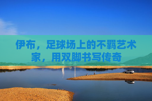 伊布,足球场上的不羁艺术家,用双脚书写传奇