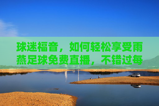 球迷福音，如何轻松享受雨燕足球免费直播，不错过每一场精彩对决
