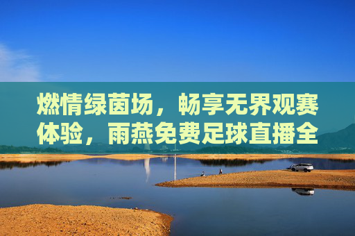 燃情绿茵场,畅享无界观赛体验,雨燕免费足球直播全解析