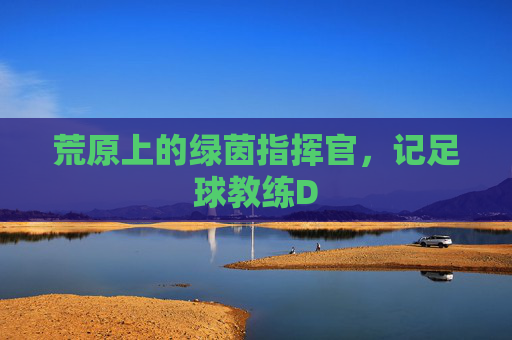 荒原上的绿茵指挥官,记足球教练D