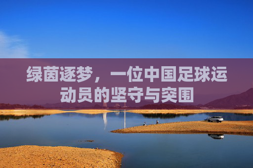 绿茵逐梦,一位中国足球运动员的坚守与突围