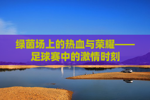 绿茵场上的热血与荣耀——足球赛中的激情时刻