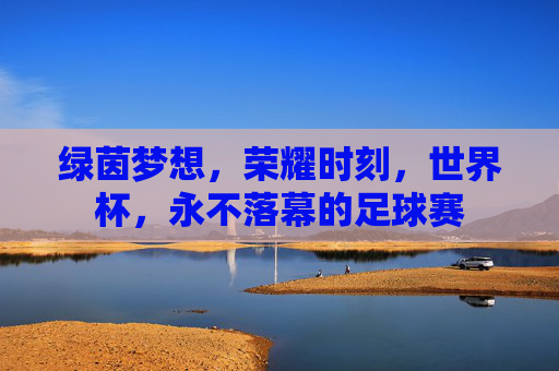 绿茵梦想,荣耀时刻,世界杯,永不落幕的足球赛