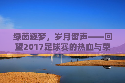 绿茵逐梦,岁月留声——回望2017足球赛的热血与荣光