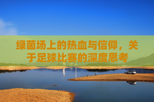 绿茵场上的热血与信仰,关于足球比赛的深度思考