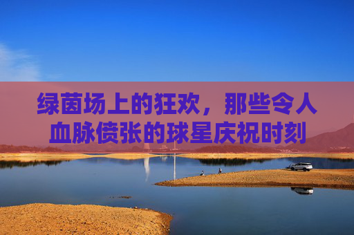 绿茵场上的狂欢,那些令人血脉偾张的球星庆祝时刻