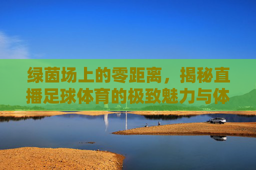 绿茵场上的零距离,揭秘直播足球体育的极致魅力与体验