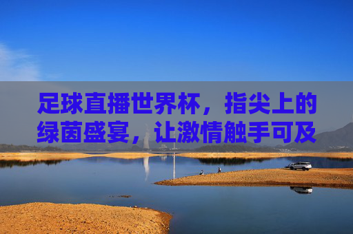 足球直播世界杯,指尖上的绿茵盛宴,让激情触手可及