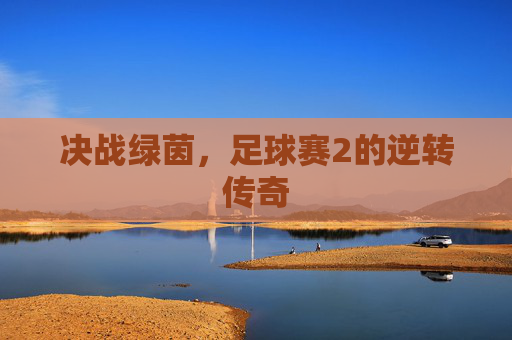 决战绿茵，足球赛2的逆转传奇