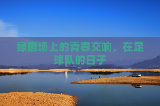 绿茵场上的青春交响,在足球队的日子