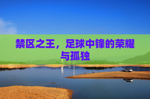 禁区之王,足球中锋的荣耀与孤独