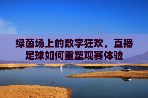 绿茵场上的数字狂欢,直播足球如何重塑观赛体验