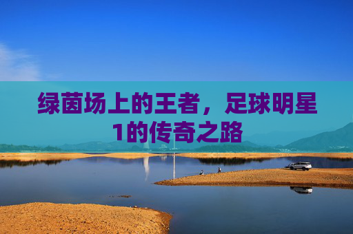 绿茵场上的王者,足球明星1的传奇之路