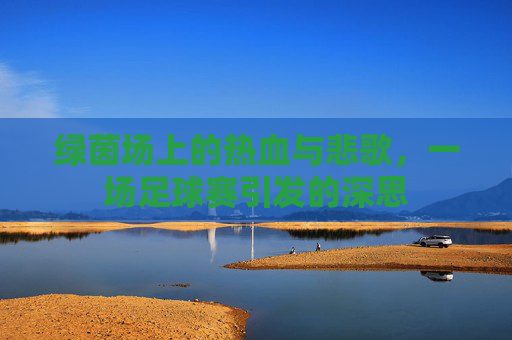 绿茵场上的热血与悲歌，一场足球赛引发的深思