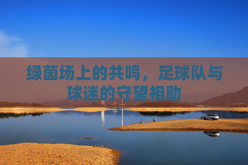 绿茵场上的共鸣,足球队与球迷的守望相助