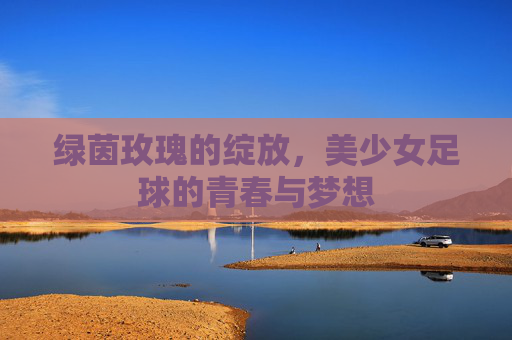 绿茵玫瑰的绽放，美少女足球的青春与梦想
