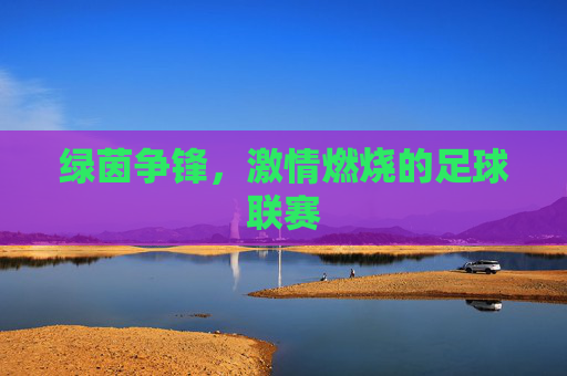 绿茵争锋,激情燃烧的足球联赛