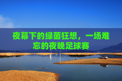 夜幕下的绿茵狂想,一场难忘的夜晚足球赛