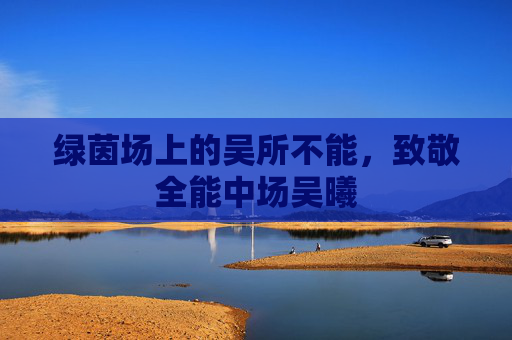 绿茵场上的吴所不能,致敬全能中场吴曦