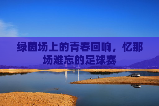 绿茵场上的青春回响,忆那场难忘的足球赛