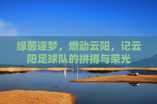 绿茵逐梦,燃动云阳,记云阳足球队的拼搏与荣光