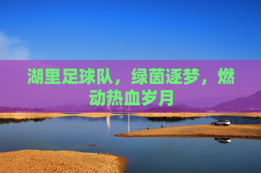 湖里足球队,绿茵逐梦,燃动热血岁月