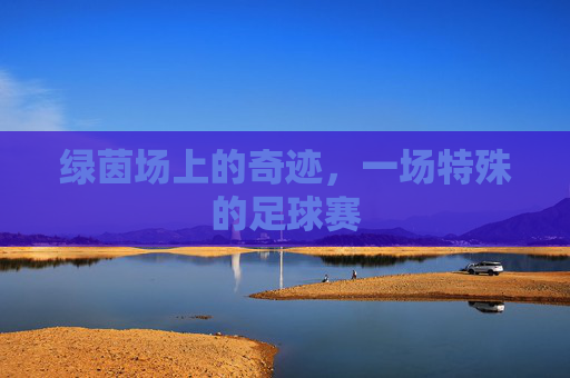 绿茵场上的奇迹,一场特殊的足球赛