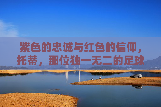 紫色的忠诚与红色的信仰,托蒂,那位独一无二的足球先生