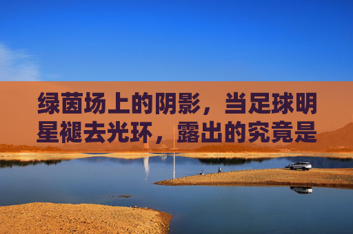 绿茵场上的阴影,当足球明星褪去光环,露出的究竟是丑陋还是人性?