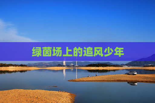 绿茵场上的追风少年