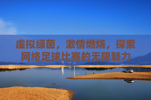 虚拟绿茵,激情燃烧,探索网络足球比赛的无限魅力