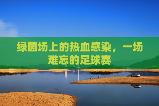 绿茵场上的热血感染,一场难忘的足球赛