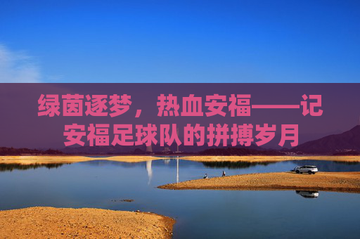 绿茵逐梦,热血安福——记安福足球队的拼搏岁月