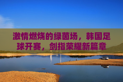 激情燃烧的绿茵场，韩国足球开赛，剑指荣耀新篇章